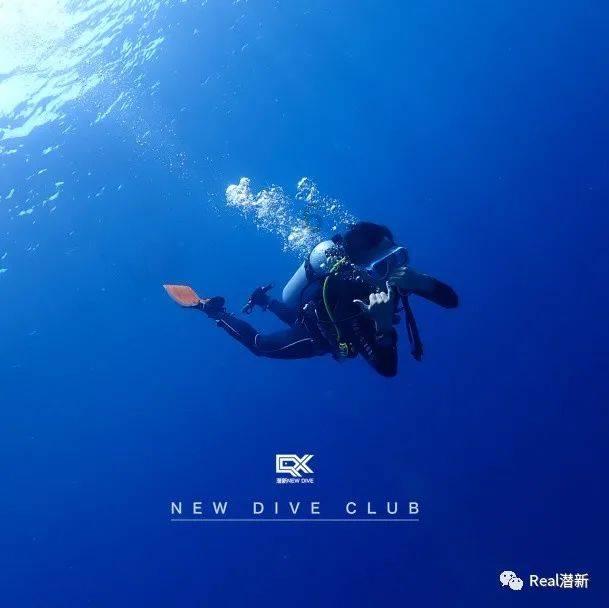 寂静森林找星星